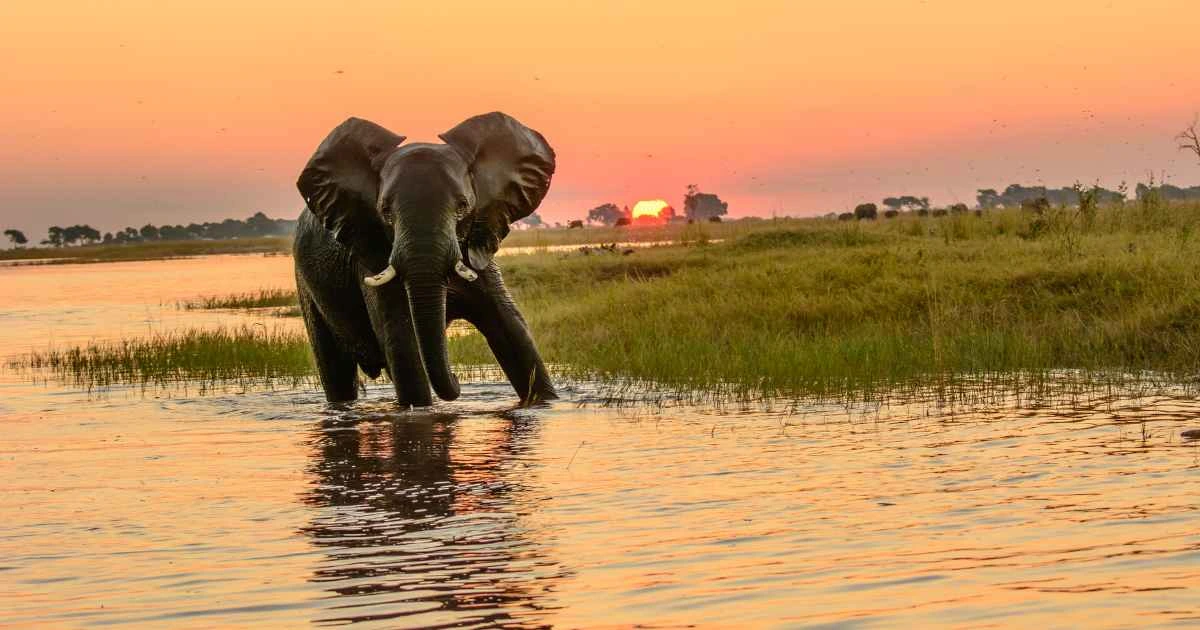 Safe African Counties To Visit